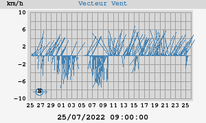 Wind Vector