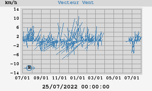 Wind Vector